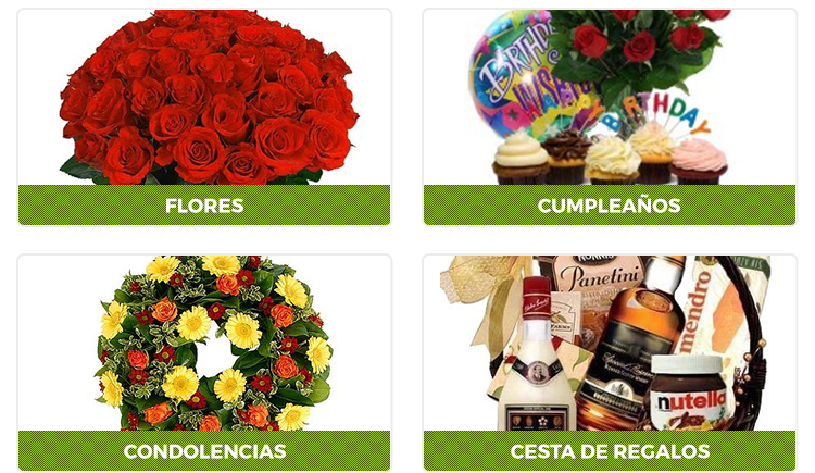 Delejos.com - Envío Internacional de Flores y Regalos